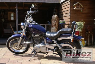 1994 suzuki ls 650 savage photo